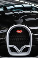 Bugatti Veyron 16.4 Linea Vivere by Mansory 2014 года